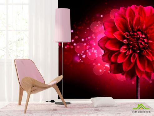 выбрать Фотообои Бардовый пион Фотообои Фотообои Цветы: красный на стену