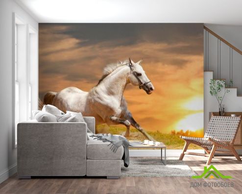 выбрать Фотообои Бегущий конь Фотообои Фотообои Животные: рисунок, горизонталная, горизонтальная  на стену