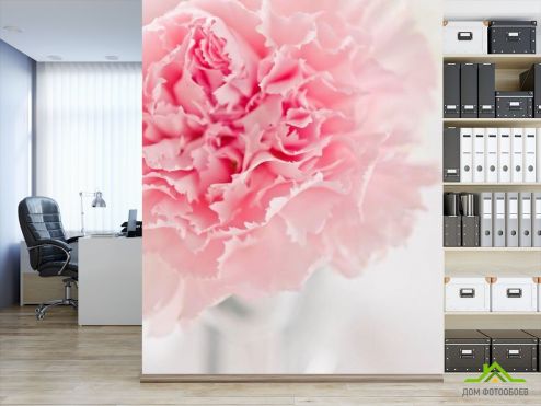 выбрать Фотообои Пион бледно-розовый Фотообои Фотообои Цветы: вертикальная ориентация на стену