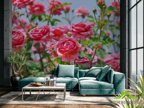 выбрать Фотообои кустарники роз  на стену