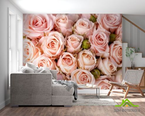 выбрать Фотообои нежные розовые розы Фотообои Фотообои Цветы: горизонталная, горизонтальная ориентация на стену