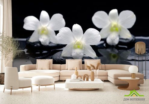 выбрать Фотообои Белые орхидеи на камнях Фотообои Орхидеи на стену