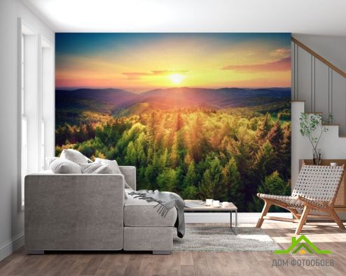 выбрать Фотошпалери захід сонця над сосновим лісом Фотошпалери Фотошпалери Природа: квадратна, горизонтальна орієнтація на стіну