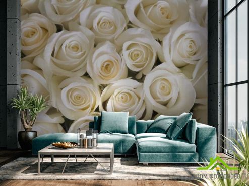 выбрать Фотообои Розы Фотообои Фотообои Цветы: горизонталная, горизонтальная, картинка ориентация на стену