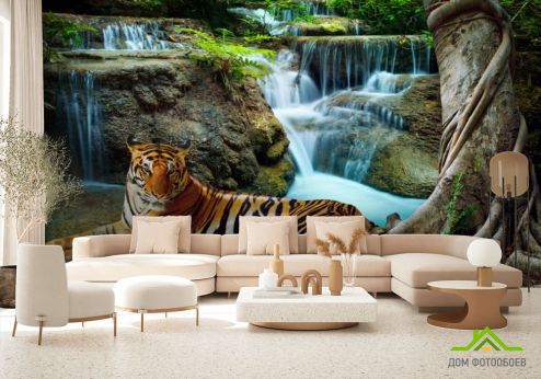 выбрать Фотообои тигр Фотообои, цвет: «горизонталная, горизонтальная» на стену