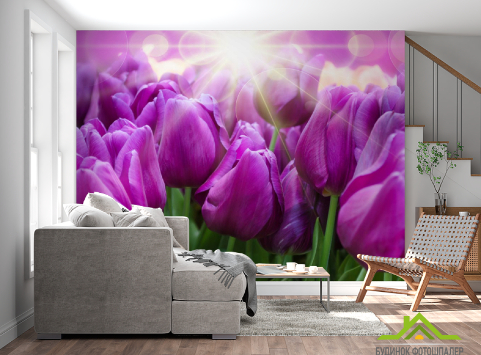 выбрать Фотообои фиолетовые тюльпаны Каталог фотообоев на стену