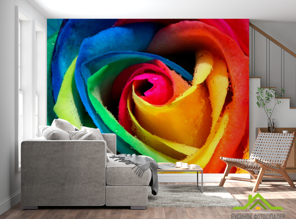 выбрать Фотообои Разноцветная роза Каталог фотообоев на стену