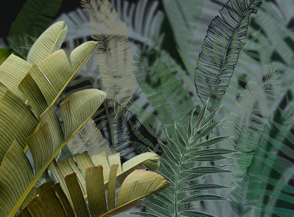 выбрать Фотошпалери дизайнерські листя Каталог фотошпалер на стіну