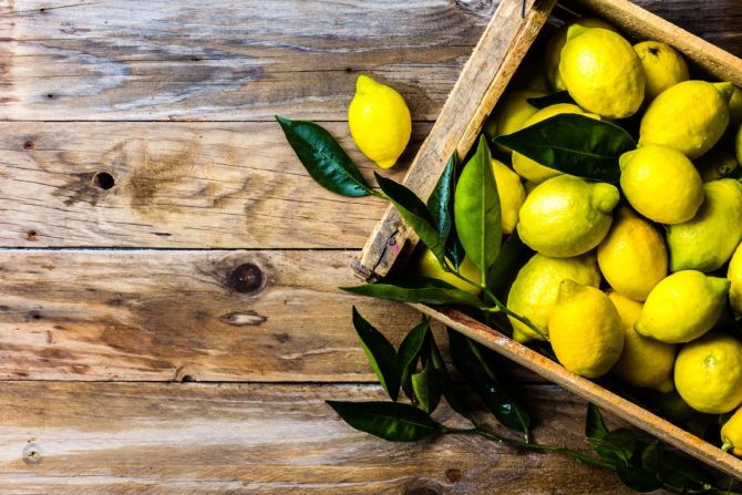 Фотошпалери лимони