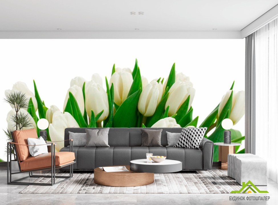 выбрать Фотошпалери Білі тюльпани Каталог фотошпалер на стіну