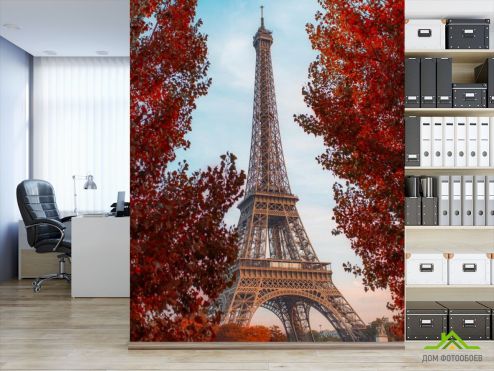 выбрать Фотошпалери червоні дерева в Парижі Фотошпалери, колір: «вертикальна» на стіну
