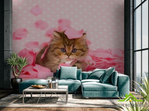 выбрать Фотообои котёнок в лепестках роз Фотообои Животные на стену
