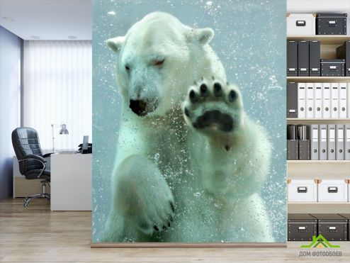 выбрать Фотообои белый медведь под водой Фотообои, цвет: «» на стену