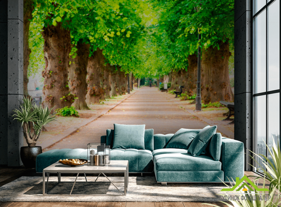 выбрать Фотообои Тоннель из деревьев Каталог фотообоев на стену