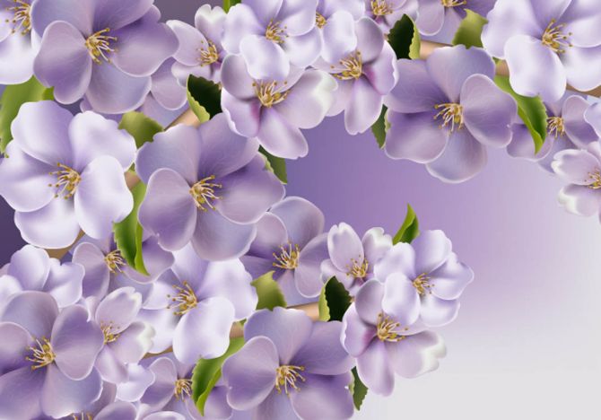 Фотошпалери Фіолетові квіти