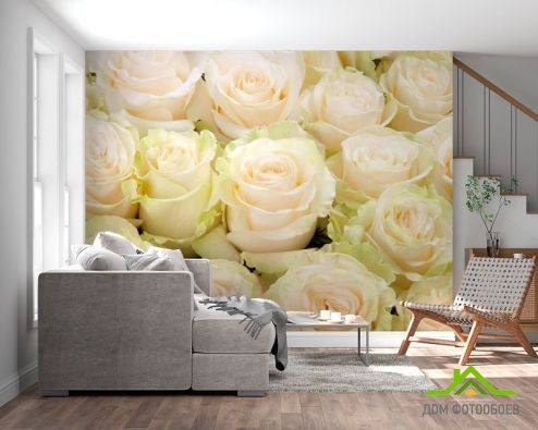 выбрать Фотошпалери Бежеві троянди Фотошпалери Квіти на стіну