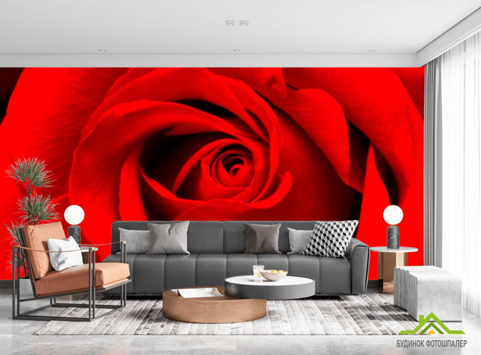выбрать Фотошпалери Червона троянда Каталог фотошпалер на стіну