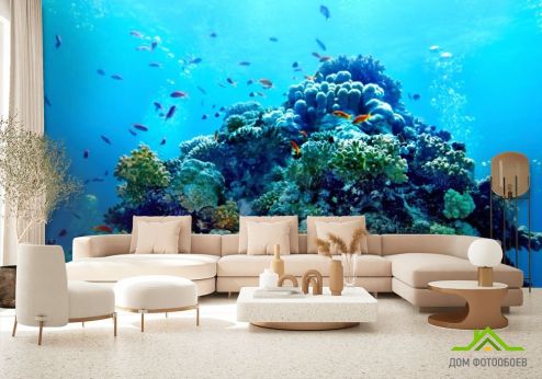 выбрать Фотообои Кораллы на дне моря Фотообои, цвет: «горизонталная, горизонтальная» на стену
