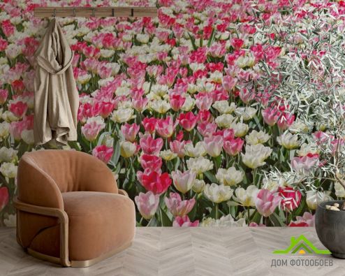 выбрать Фотообои Поле разноцветных тюльпанов Фотообои Цветы на стену