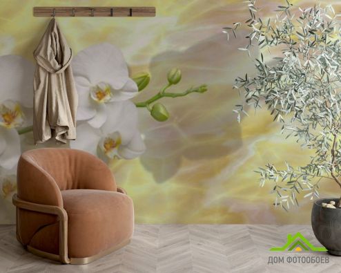 выбрать Фотообои белые орхидеи на  желтом фоне Фотообои Фотообои Цветы: горизонталная, горизонтальная ориентация на стену