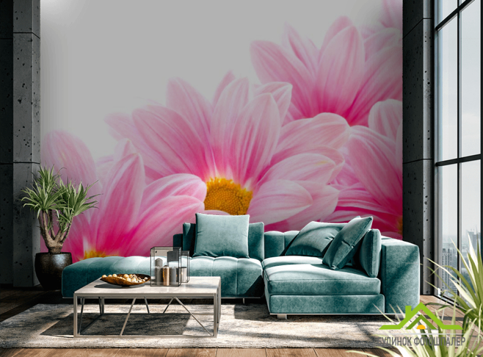 выбрать Фотошпалери Ромашки рожеві Каталог фотошпалер на стіну