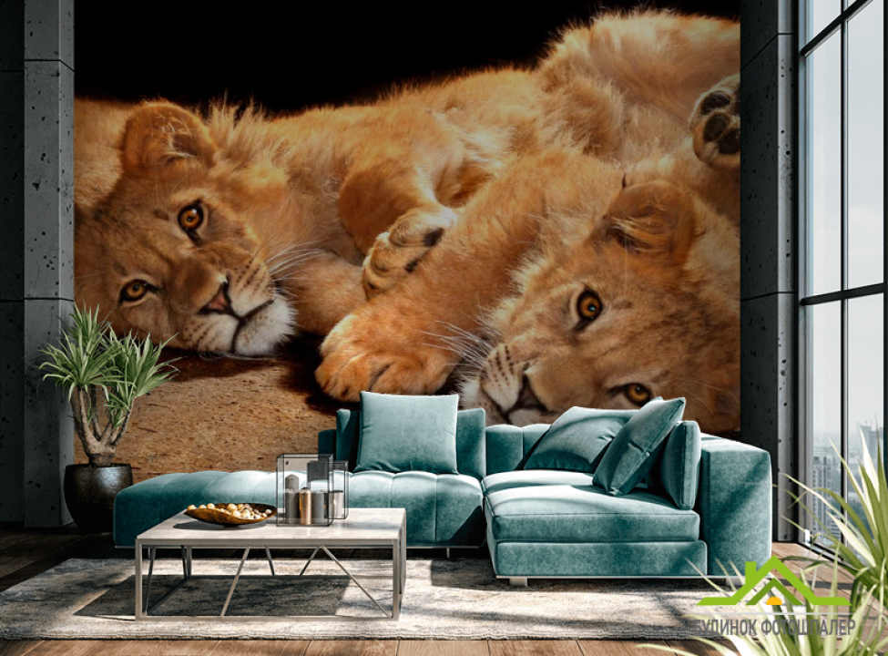 выбрать Фотообои Львята Каталог фотообоев на стену