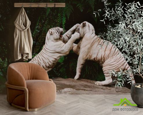 выбрать Фотошпалери Бійка білих тигрів Фотошпалери Фотошпалери Тварини: фото, зелений, зелений  на стіну