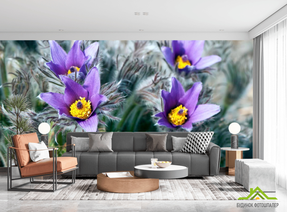 выбрать Фотообои Фиалки Каталог фотообоев на стену