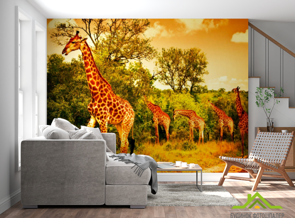 выбрать Фотообои Жирафы на пастбище Каталог фотообоев на стену