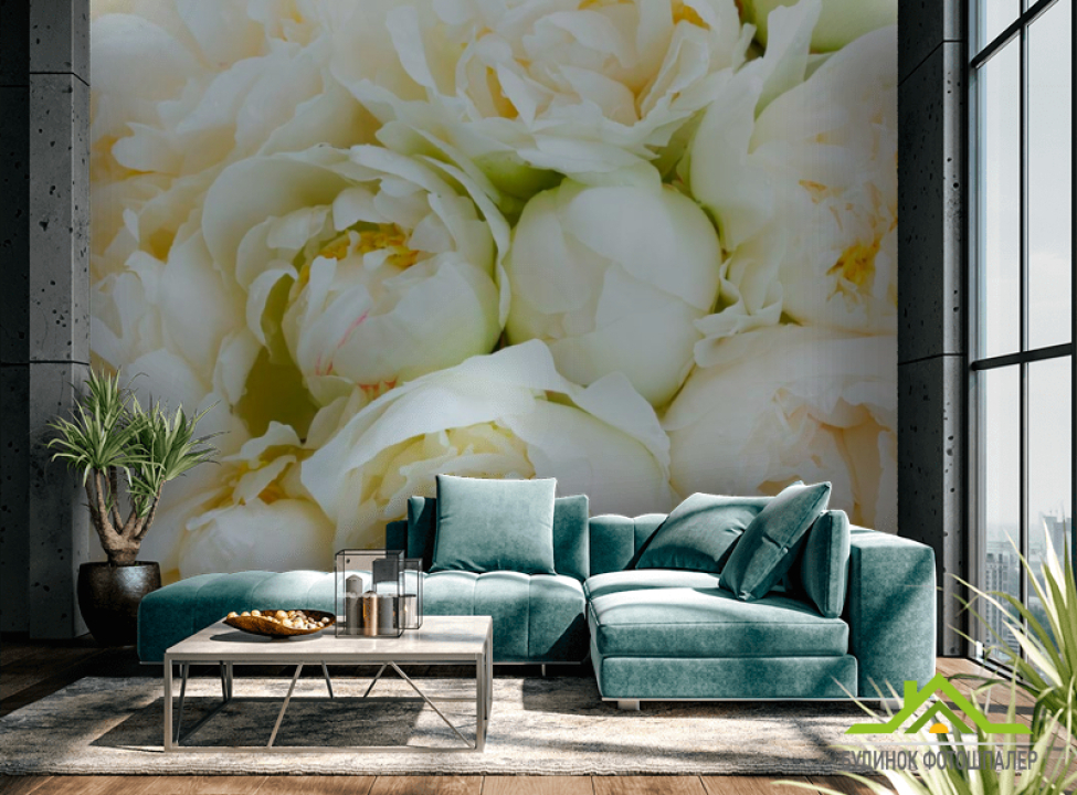 выбрать Фотошпалери Півонії Каталог фотошпалер на стіну
