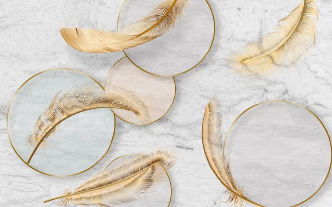 Фотообои Золотые перья с кругами