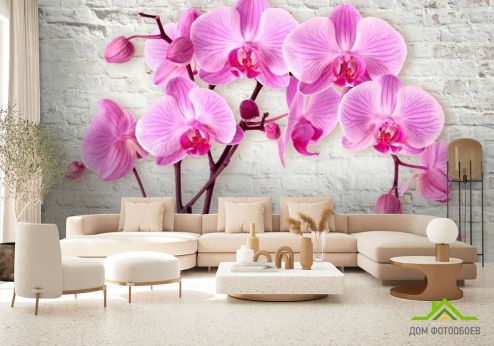 выбрать Фотошпалери 3д орхідея Фіолетові фотошпалери на стіну