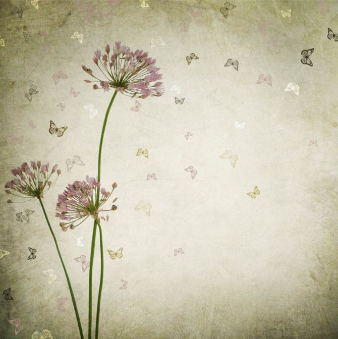 Фотошпалери Квіти і метелики