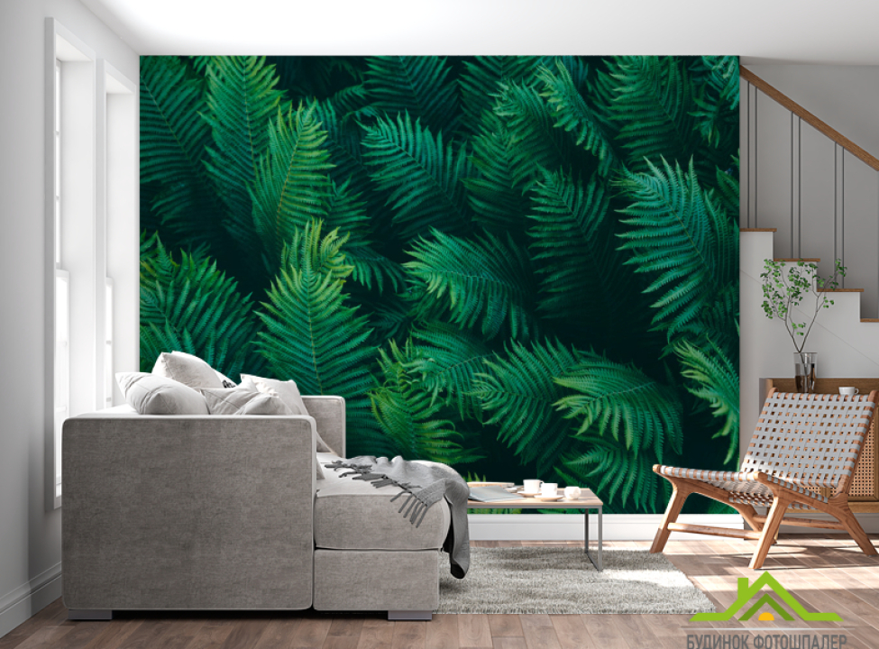 выбрать Фотошпалери Тропічні листя Каталог фотошпалер на стіну