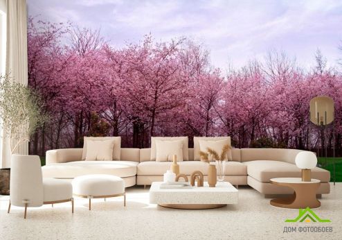 выбрать Фотообои Цветущие вишни Фотообои Фотообои Розовые деревья: горизонталная, горизонтальная ориентация на стену