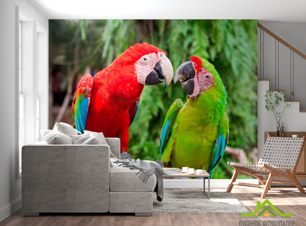 выбрать Фотошпалери Спілкування папуг Каталог фотошпалер на стіну