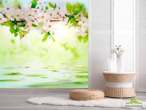 выбрать Фотообои Персиковые цветы Фотообои Фотообои Цветы: фото, зелений, зеленый  на стену