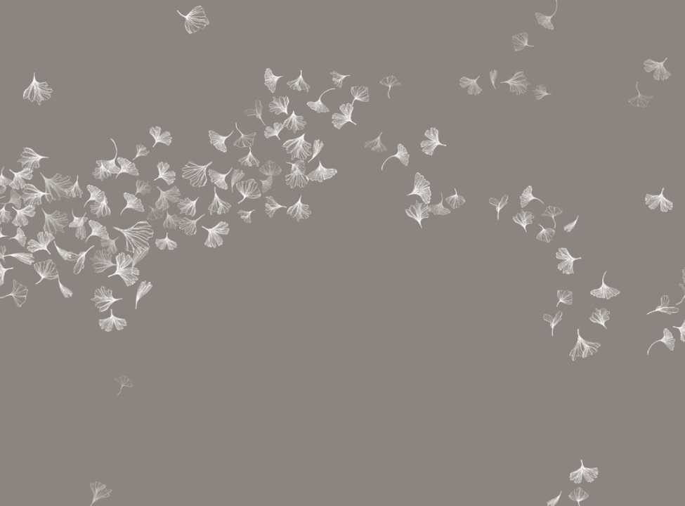 выбрать Фотообои одуванчик в стиле line art Каталог фотообоев на стену