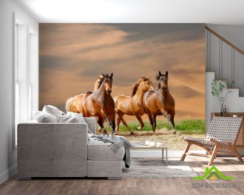 выбрать Фотообои Мустанги соревнуются Фотообои Фотообои Животные: Лошади, горизонталная, горизонтальная на стену