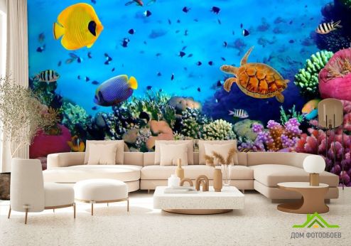 выбрать Фотообои Разнообрзие рыб Фотообои, цвет: «разноцветный, горизонталная, горизонтальная» на стену