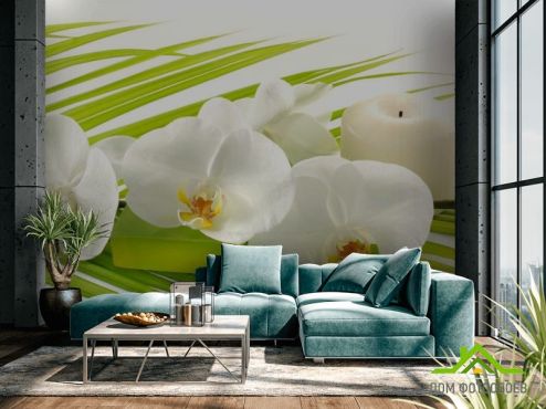 выбрать Фотообои Белая орхидея Зеленые фотообои на стену