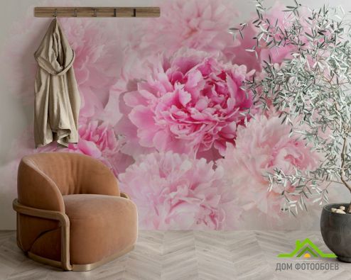 выбрать Фотообои Розовые пионы Фотообои Фотообои Цветы: горизонталная, горизонтальная на стену