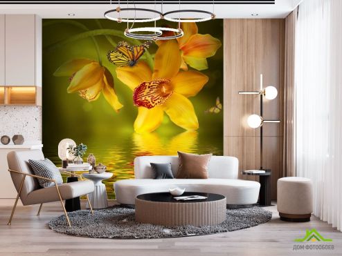 выбрать Фотообои Орхидеи с бабочками Фотообои, цвет: «квадратная» на стену
