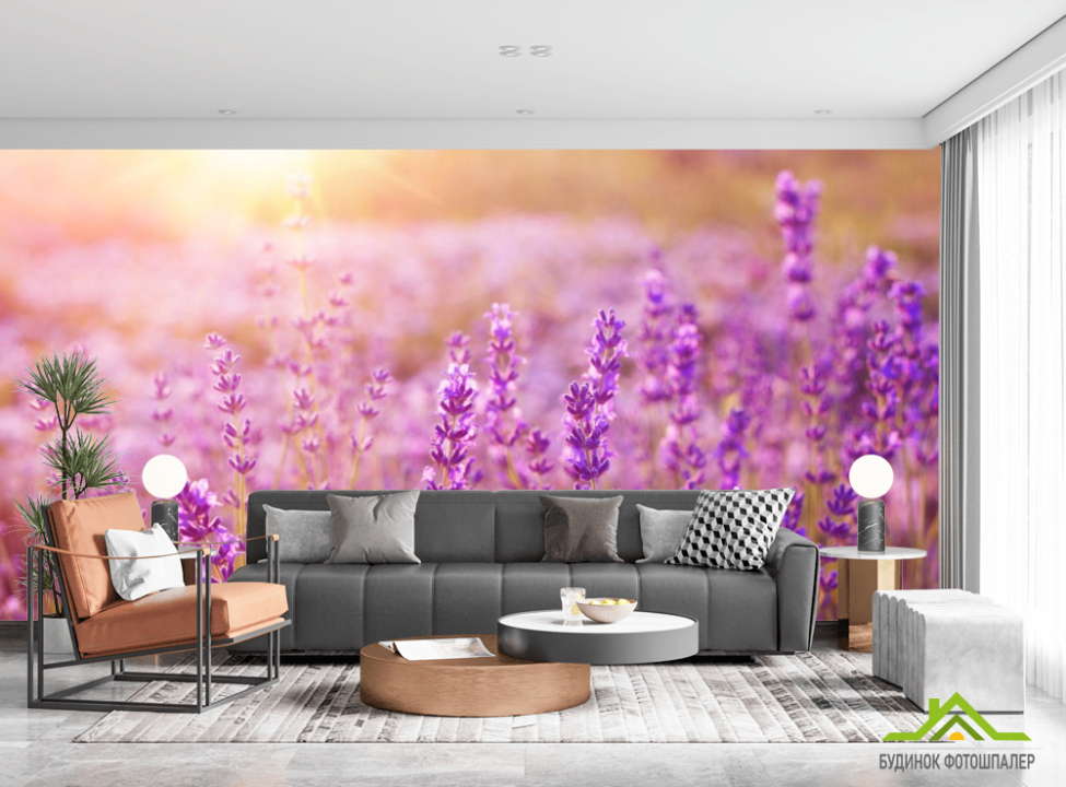 выбрать Фотообои поле цветочков Каталог фотообоев на стену