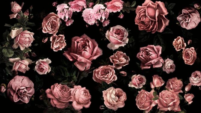 Фотообои Розы