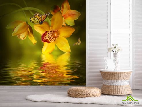 выбрать Фотошпалери Орхідеї з метеликами  на стіну