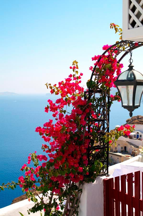 Фотошпалери Квіти на ліхтарі, Греція