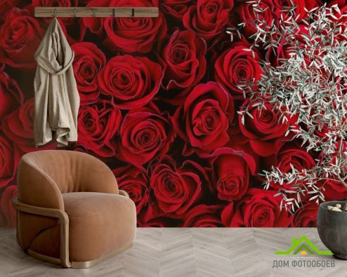 выбрать Фотообои red roses Фотообои Фотообои Цветы: горизонталная, горизонтальная на стену