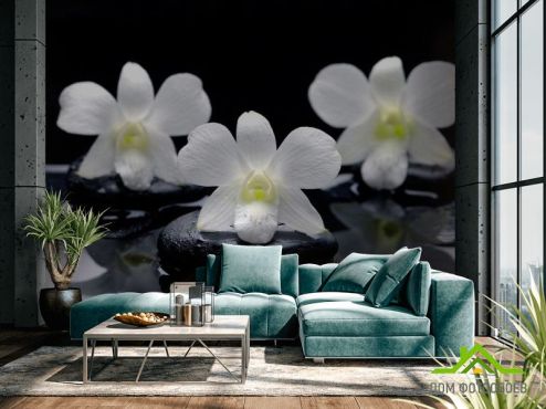 выбрать Фотообои Белые орхидеи на камнях Фотообои Фотообои Цветы: горизонталная, горизонтальная, черный ориентация на стену