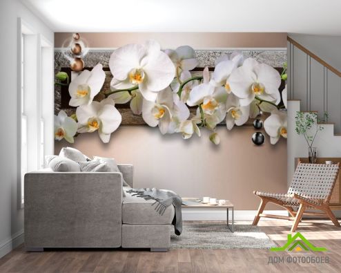 выбрать Фотошпалери 3д гілка орхідей Фотошпалери Фотошпалери Квіти:  на стіну
